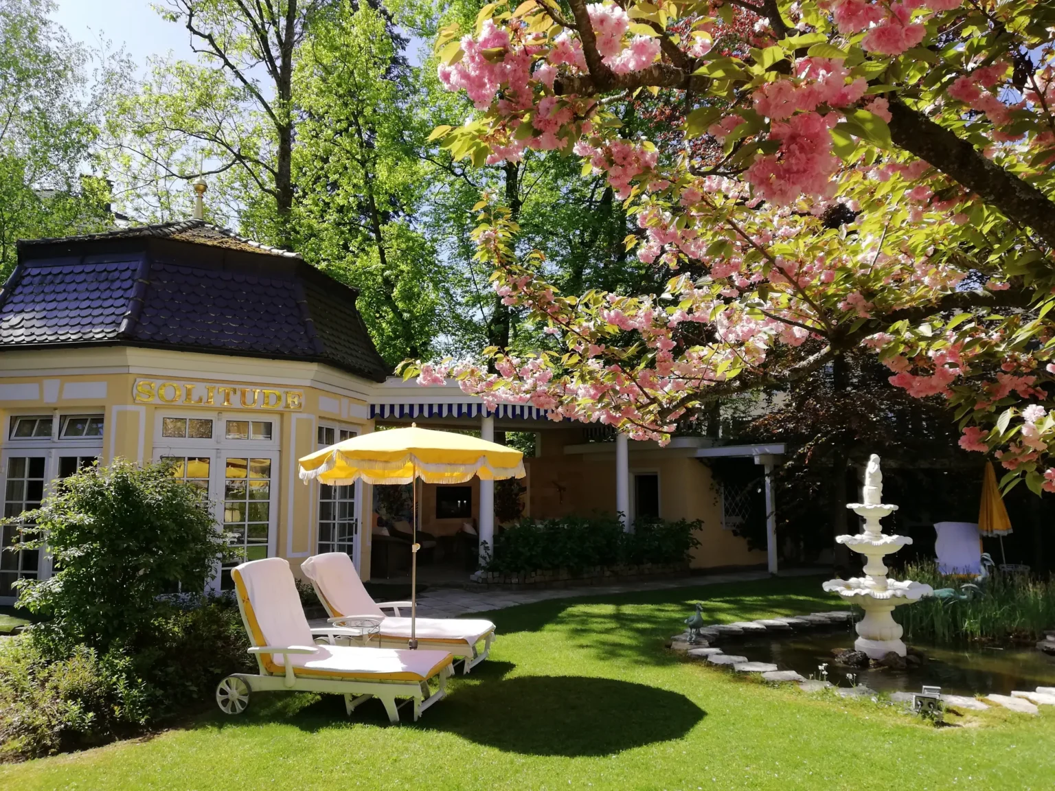 IMG 20180429 111843 resized 20180430 090247542